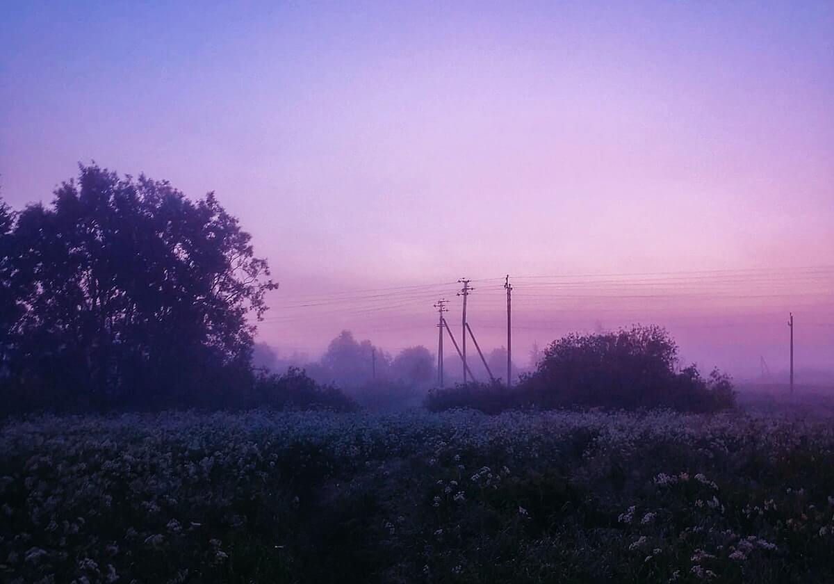 2026世界杯官网-外媒曝安特卫普有意费莱尼 蓬蓬头回比利时效力？